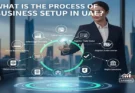 What Is the Process of Business Setup in UAE?